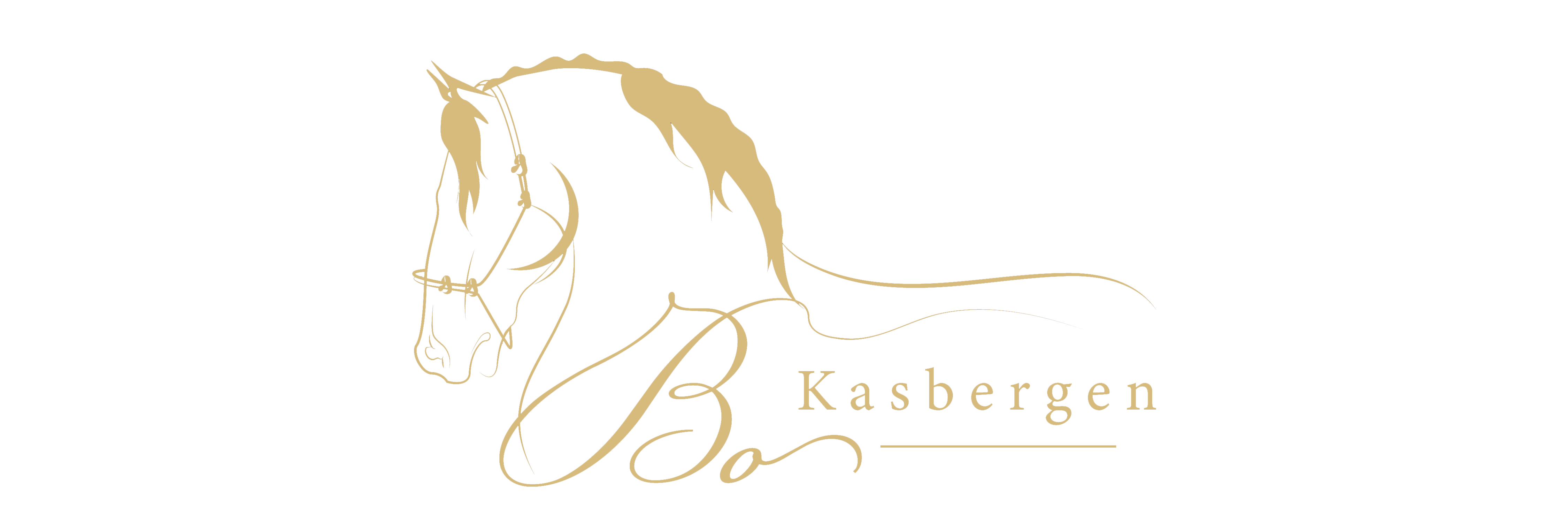 Bo Kasbergen